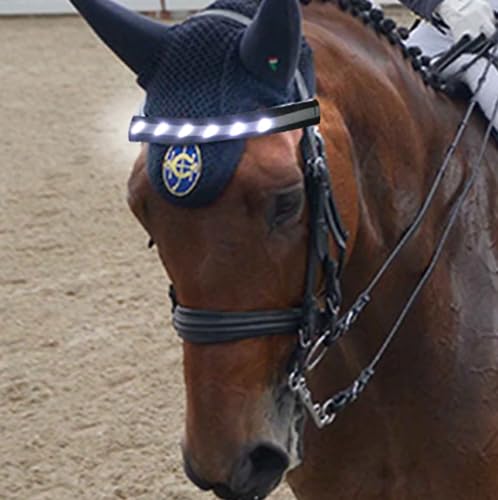 QQY LED Korsett Führende Pferd Kopf Reifen LED Streifen Visuelle Positionierung Pferd Kopf Kopfband für Nacht Reiten Events (Weiß) von QQY