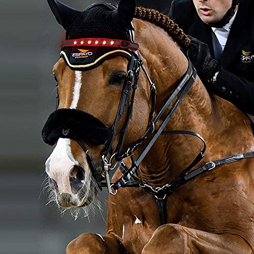 QQY LED Korsett Führende Pferd Kopf Reifen LED Streifen Visuelle Positionierung Pferd Kopfband für Nacht Reiten Veranstaltungen (Orange) von QQY