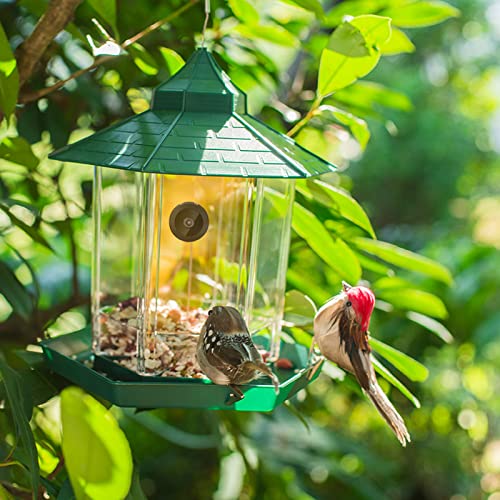 QTANZIQI Wireless Bird Feeder Kamera - Full HD 1080p Nachtsicht, WiFi-Konnektivität zum Smartphone für Vogelbeobachtung und Fotografie im Freien durch Vogelliebhaber von QTANZIQI