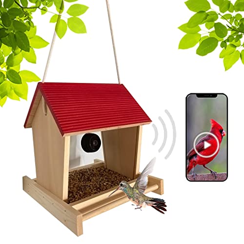 QTANZIQI bewegungsaktivierte drahtlose Kamera Vogelfutterhäuschen: 1080P-Video, Gartenvogelbeobachtung im Freien, Telefonkompatibilität, Fotos (32G TF-Karte, Rot) von QTANZIQI