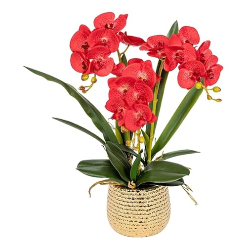 QTYQWC Künstliche Orchideenblume im Keramik -Topf, Faux gefälschte Phalaenopsis Blumenarrangement für Wohnkultur Wohnzimmertisch Herzstück Herzstück von QTYQWC