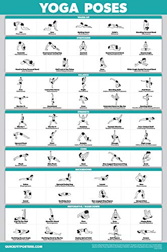 QuickFit Yoga Position Übungsposter – Yoga Asana Poses Chart – laminiert, 45,7 x 68,6 cm von QUICKFIT