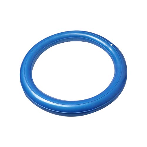 Qikam Yoga-Ball Fester Ring,Verdickter Explosionsgeschützter Einsteiger-Fitnessball Sicherungsring Zur Positionierung des Yoga-Balls Perfekt Für Yoga, Pilates, Fitness, Physiotherapie von Qikam