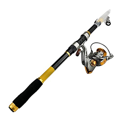 Angelrute Teleskop-Angelruten-Set, 2,1–3,6 m, Spinnrute und Angelrolle, Angelrute und Klappgriff, Spinn-Angelrolle Angel (Size : 3.0M Rod with DC5000, Color : Yellow) von Qlinewe-54