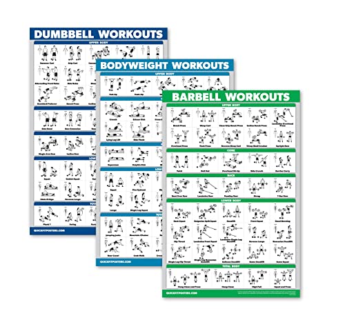 QuickFit 3er-Pack – Hantel-Workouts + Bodyweight Übungen + Langhantel-Übungen – Set mit 3 Trainingstabellen, laminiert, 18" x 27" von QUICKFIT