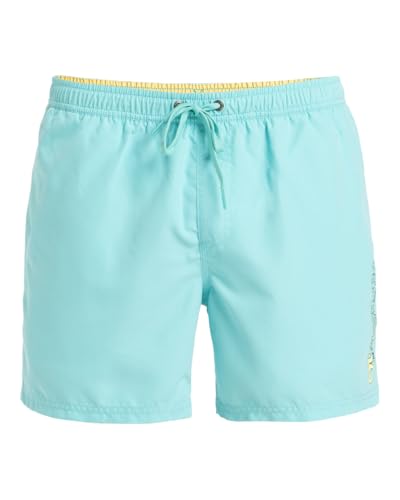 Quiksilver - Spl Fineline Volley 15" Boardshorts - Mann von Quiksilver