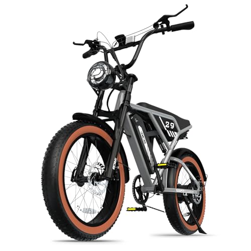 RCB 20'' E Bike, Elektrisches Mountainbike für Erwachsene, Pendel-Elektrofahrrad mit Abnehmbarem 48-V-15-Ah-Akku, Reichweite 35–90 km von RCB