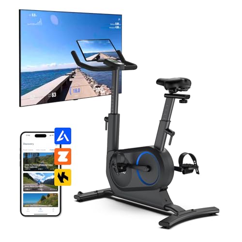 Heimtrainer Fahrrad mit Magnetischem Widerstand, RENPHO Exercise Bike mit APP, 24-EbeneWiderstand Einstellbar, Kardio Training Fitnessbikes mit LCD Monitor, Hometrainer Fahrrad 120 kg Belastbar von RENPHO