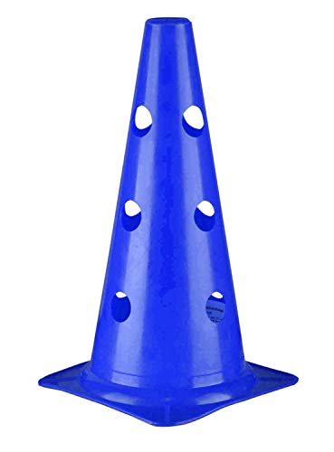 RHINOS sports Multifunktionskegel | 30 cm | blau von RHINOS sports