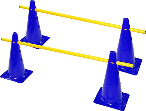 RHINOS sports Steckhürdenset 2er | 4 Blaue Kegel: 30cm | 2 gelbe Stangen: 1m von RHINOS sports
