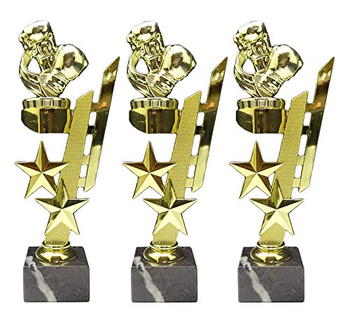 RaRu 3 Boxen/Boxer-Pokale (Sternenhalter) mit Ihrer Wunschgravur von RaRu