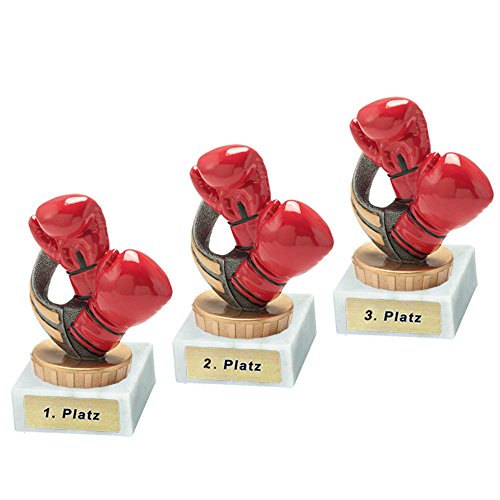 RaRu 3 Boxer-Pokale mit Wunschgravur und Resin-Klebefigur von RaRu