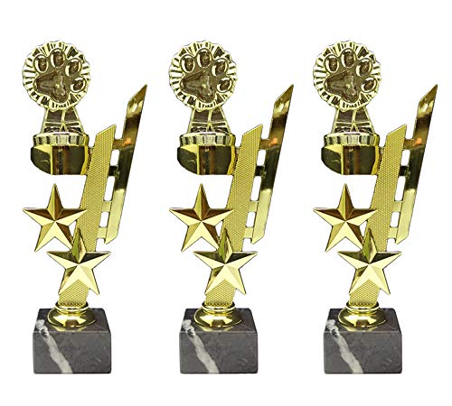 RaRu 3 Hundesport-Pokale (Sternenhalter) mit Ihrer Wunschgravur von RaRu