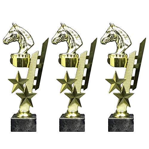 RaRu 3 Reiter-Pokale (Sternenhalter) mit Ihrer Wunschgravur von RaRu
