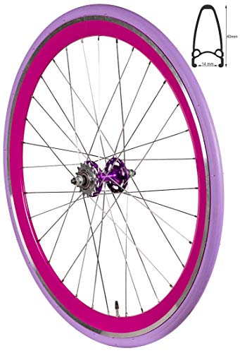 Redondo 28 Zoll Hinterrad Singlespeed Fixie Laufrad Felge Purple Lila + Reifen von Redondo