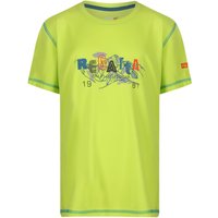 Regatta Alvarado IV Kinder T-Shirt hellgrün Gr. 104 Kinder von Regatta