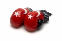 Reppa Mini Boxhandschuhe - Türkei von Reppa