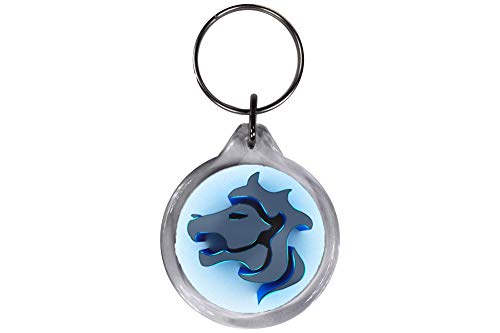 ResKey Schlüsselanhänger Löwe Blau Sternzeichen Astronomie Horoskop von Reskey