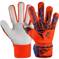 REUSCH Kinder Torwarthandschuhe Attrakt Starter Solid Finger Support Junior von Reusch