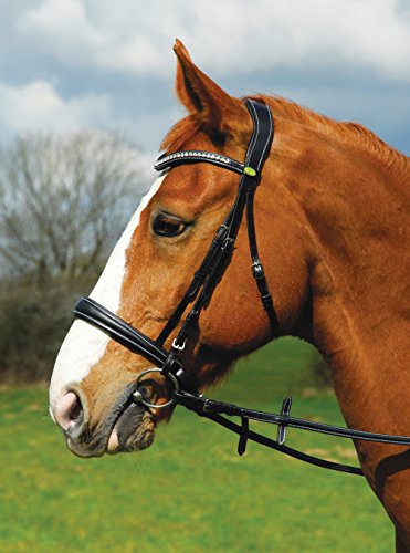 Rhinegold 0 Anatomic Cavesson Bridle-Extra Full-Black Trense, Schwarz, Kaltblut/Warmblut extragroß von Rhinegold