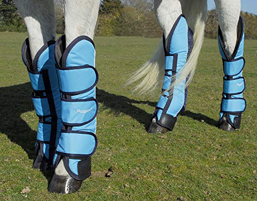 Rhinegold 0 Elite Full Length Travel Boots-Cob-Turquoise/Navy Reisestiefel von Rhinegold