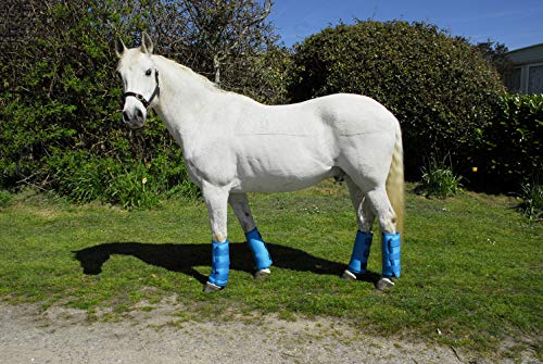 Rhinegold 0 Elite Half Length Travel Boots-Pony-Turquoise Reisestiefel, türkis von Rhinegold