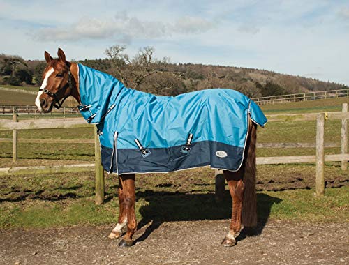 Rhinegold 0 Full Neck Torrent-Lightweight.No Fill Outdoorteppich, Sky/Navy, 2,1 m von Rhinegold