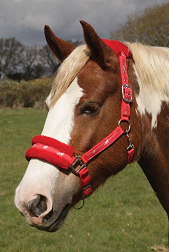 Rhinegold 0 Logo Headcollar Fleece Trim-Pony-Red Halfter, rot von Rhinegold