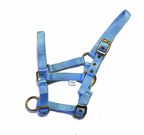 Rhinegold 0 Nylon Foal Headcollar-Baby Blue Halfter für Fohlen, Babyblau, Einheitsgröße von Rhinegold