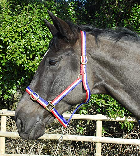 Rhinegold 0 Nylon Headcollar-Full-Red/White/Blue Halfter, rot/weiß/blau, Volle Größe von Rhinegold