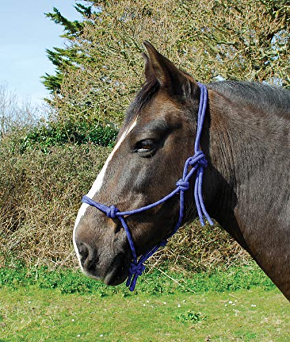 Rhinegold 0 Rope Halter-Cob-Royal Seilhalfter, königsblau von Rhinegold