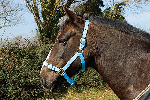 Rhinegold Babyblau Nylonhalfter – Shettland, Shetland,Pony,Cob, Extra Full von Rhinegold