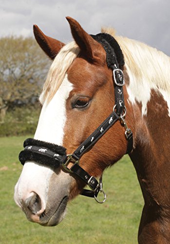 Rhinegold Logo Headcollar Fleece Trim-Shet-Black Halfter, Schwarz, Shetland von Rhinegold