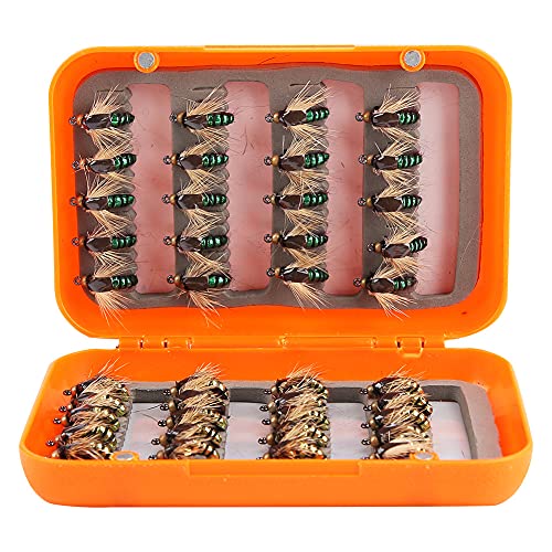 Fliegenfischen Fliegen, 40 Stück Fliegenfischen Fliegen Forellenfliegen Köder Haken Fliegenfischen Kit Box (Goldgrün gemischt) von RiToEasysports