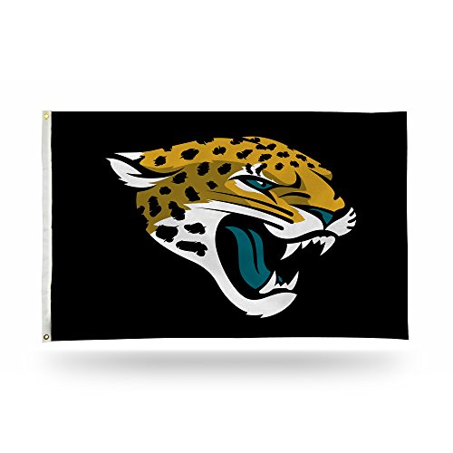 NFL Minnesota Vikings 1,5 m x 1,5 m einseitig Banner Flagge mit Ösen von Rico Industries