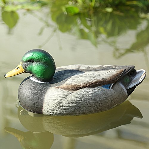 riorand sehr realistisch Kunststoff Duck Jagd Köder Garten Decor, Male von RioRand