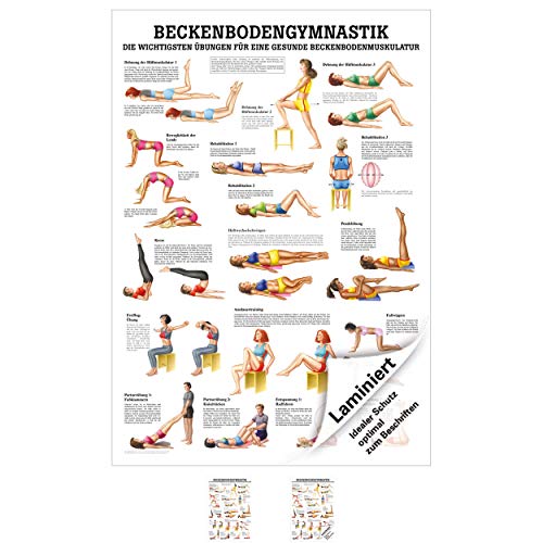 Sport-Tec Beckenbodengymnastik Mini-Poster Anatomie 34x24 cm medizinische Lehrmittel von Sport-Tec