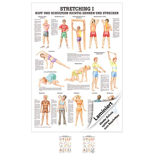 Rüdiger Stretching I Lehrtafel Anatomie 100x70 cm medizinische Lehrmittel von Rüdiger