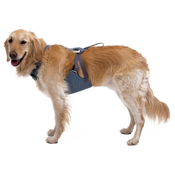 Ruffwear - Load Up Harness - Hundegeschirr Gr L/XL blau von Ruffwear