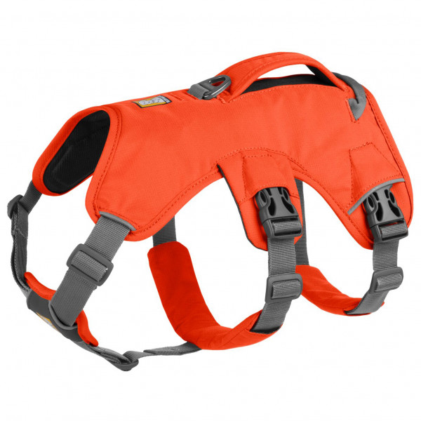 Ruffwear - Web Master Harness - Hundegeschirr Gr L/XL - Chest: 81-107 cm orange von Ruffwear