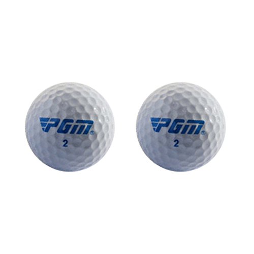 Sanwood Golfball, doppelschichtig, 2 Stück von SANWOOD