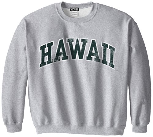 NCAA Hawaii Rainbow Warriors 50/50 Blended 8-Ounce Vintage Arch Crewneck Sweatshirt, X-Large, Sport Grey von SDI