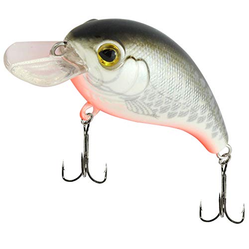 SEIKA Pro Unisex – Erwachsene 10C8900116C10 SEIKA Pr-Osaka-Wobbler Farbe: White Fish UV 4,5cm Programm von FTM, Bunt, Normal von SEIKA Pro