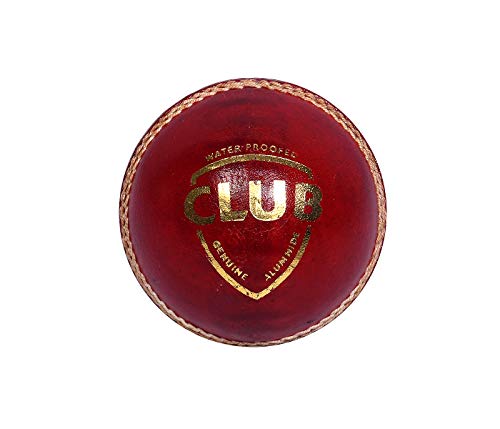 SG Club Cricketball, Leder, Standardgröße von SG