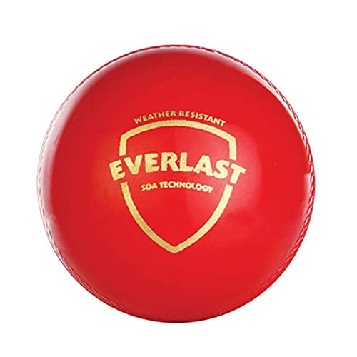 SG Unisex – Erwachsene SG01SY610001-Ball Cricket Balls, Mehrfarbig, Andere von SG