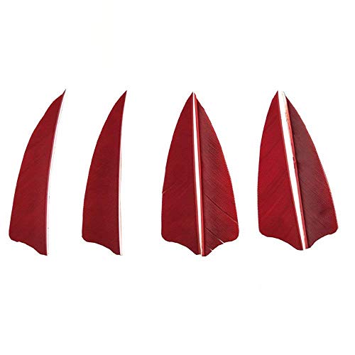SHARROW 100 Stück Bogenschießen Naturfedern Pfeilfeder 3 Zoll Shield Cut Fletches Fletching Vanes Befiederung (Rot) von SHARROW
