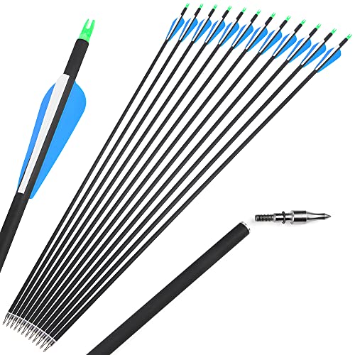 SHARROW 12pcs 30 Zoll Gemischter Carbonpfeil Spine 500 Archery Carbon Arrows Jagdpfeile Kohlenstoff Pfeile für Compound und Recurve Bogen Bogenschießen Jagd (12Pcs, blau) von SHARROW