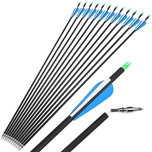 SHARROW 24Pcs 32 Zoll Carbon Pfeile Spine 500 Pfeile für Bogenschießen Jagd Bogen Pfeile Jagdpfeile mit Kunststoffbefiederung für Pfeil Und Bogen Recurvebogen Compoundbogen Langbogen (24Pcs, Blau) von SHARROW