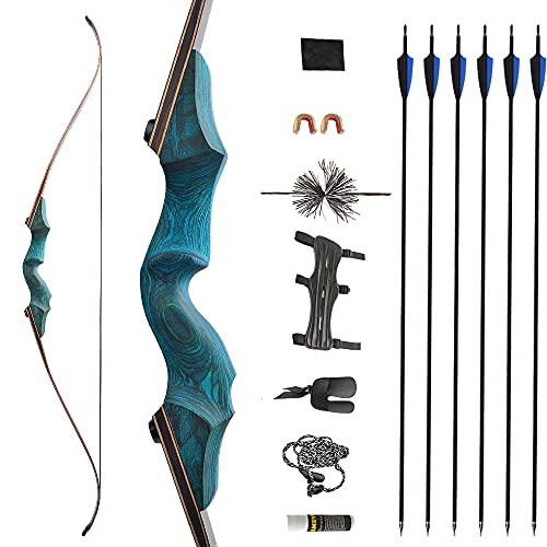 SHARROW 60 Zoll Recurvebogen Set Erwachsene 20-60 Lbs Takedown BogenschießEn Set Jagdbogen Pfeil Bogen Set Erwachsene Sportbogen Recurve Bogen Und Pfeil Set Recurve Bow Rechtehand (Blauset, 20Lbs) von SHARROW