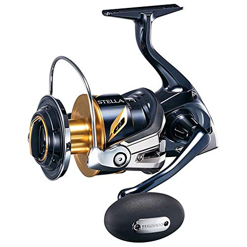 Reel Stern SW C 6000 XG von SHIMANO